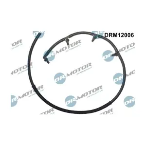 DRM12006 LIZARTE