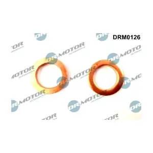 DRM0126 LIZARTE