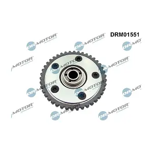 DRM01551 LIZARTE