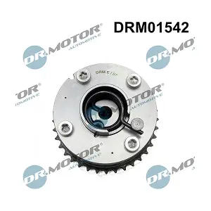 DRM01542 LIZARTE