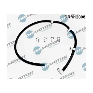 DRM12008 LIZARTE