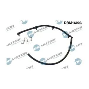 DRM16003 LIZARTE