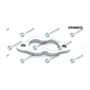 DRM0852 LIZARTE