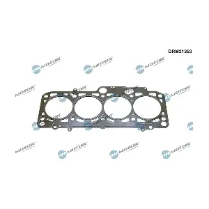 DRM21253 LIZARTE