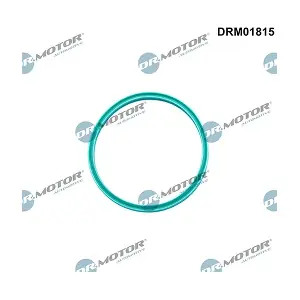 DRM01815 LIZARTE
