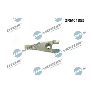 DRM01855 LIZARTE