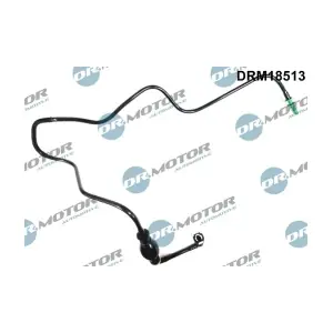 DRM18513 LIZARTE