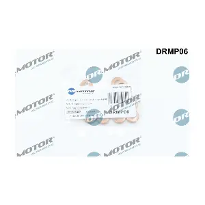 DRMP06 LIZARTE