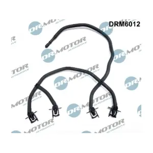 DRM6012 LIZARTE