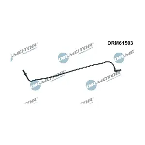 DRM61503 LIZARTE