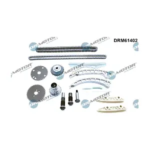 DRM61402 LIZARTE