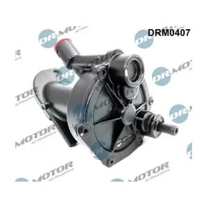 DRM0407 LIZARTE