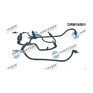 DRM16501 LIZARTE