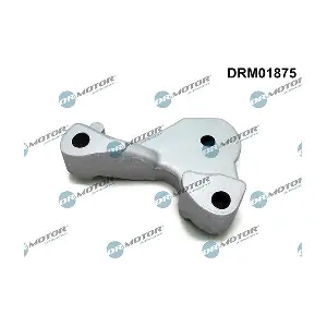 DRM01875 LIZARTE