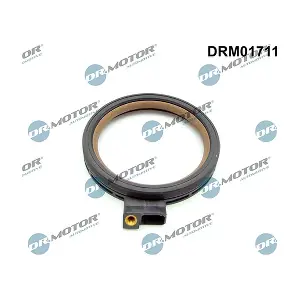 DRM01711 LIZARTE
