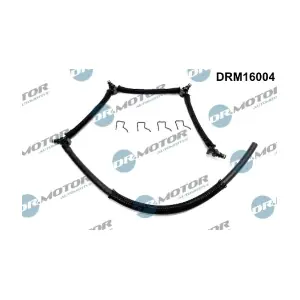 DRM16004 LIZARTE