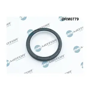 DRM0779 LIZARTE