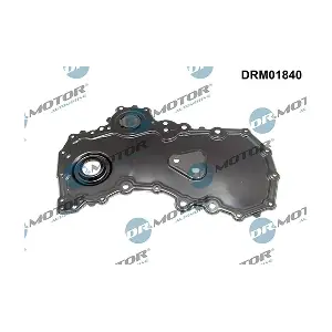 DRM01840 LIZARTE