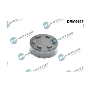 DRM0697 LIZARTE