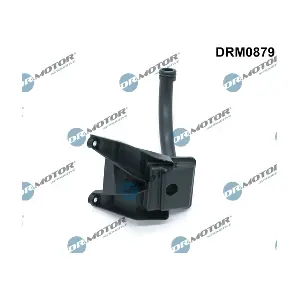 DRM0879 LIZARTE