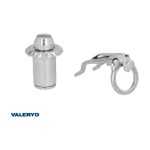 1070101 Valeryd