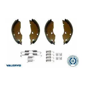 100587 Valeryd