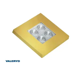 3050007 Valeryd