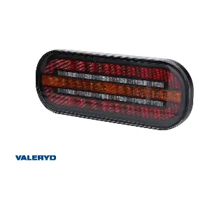 3010245 Valeryd