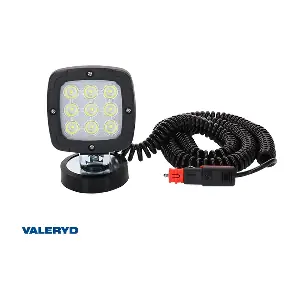 3110002 Valeryd