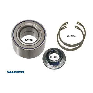 101254 Valeryd