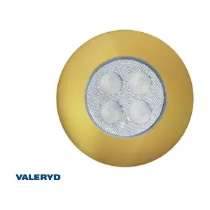 3050004 Valeryd