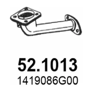 52.1013 ASSO