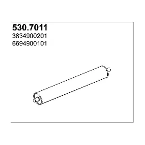 530.7011 ASSO