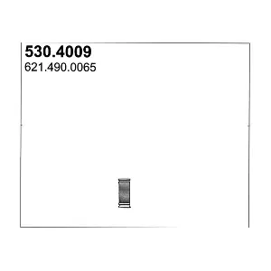 530.4009 ASSO