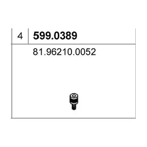 599.0389 ASSO