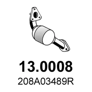 13.0008 ASSO