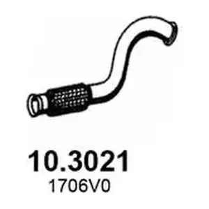 10.3021 ASSO