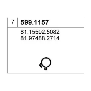 5991157 ASSO
