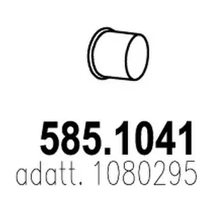ASSO 585.1041