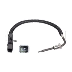 21285163 RENAULT