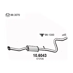 ASSO 10.6043