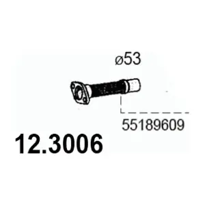 12.3006 ASSO