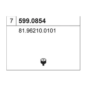 599.0854 ASSO