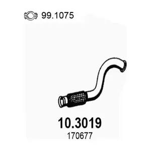 10.3019 ASSO