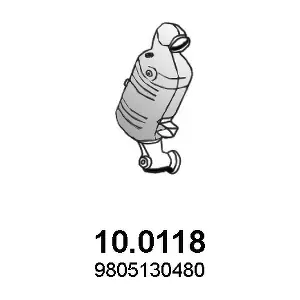10.0118 ASSO
