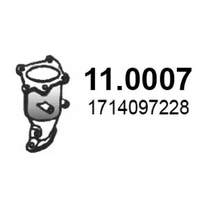 110007 ASSO