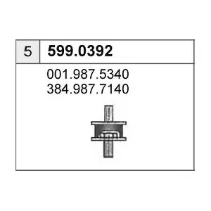 599.0392 ASSO