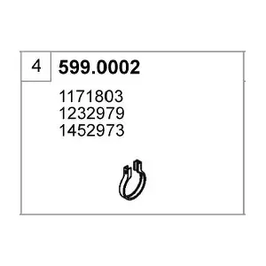 599.0002 ASSO