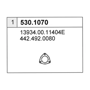 3024900080 VIASA