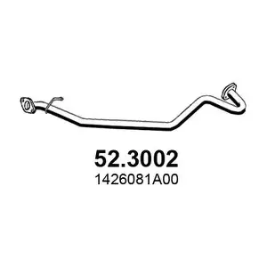 52.3002 ASSO